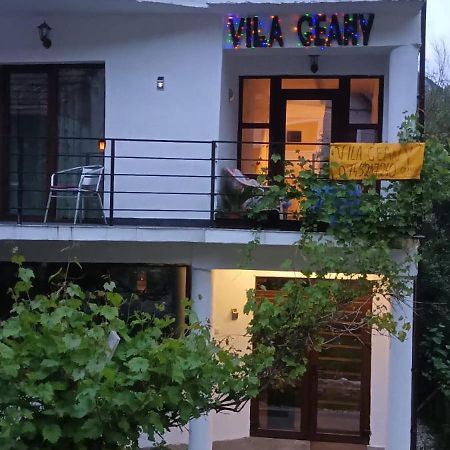 Pensiunea Vila Geany Srl Băile Herculane Dış mekan fotoğraf