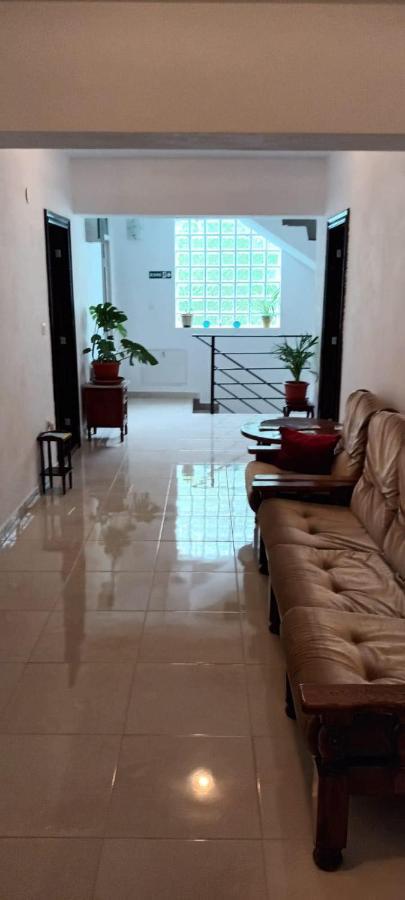 Pensiunea Vila Geany Srl Băile Herculane Dış mekan fotoğraf